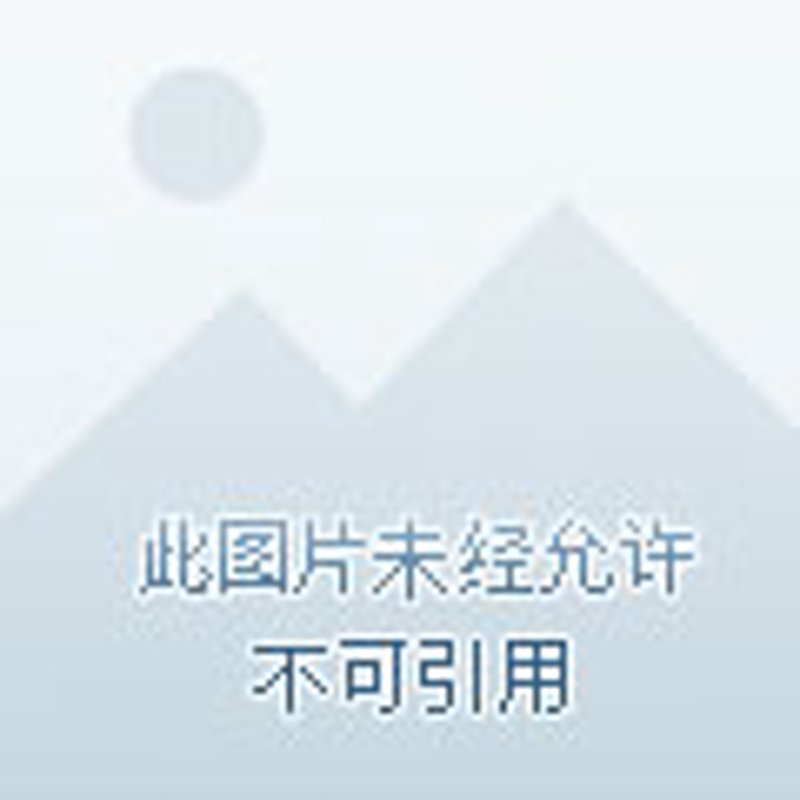 国内货物运输行业的最新发展
